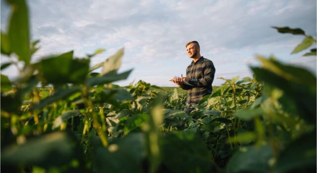 Mutuo agrario: cos&#8217;è e come funziona?