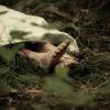 Fotografo scopre cadavere decomposto durante una passeggiata