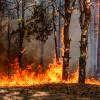 Incendio ad Albenga: 70 persone evacuate