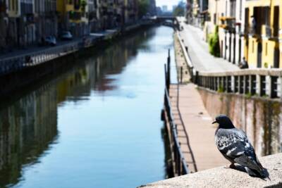 Milano Navigli Coronavirus