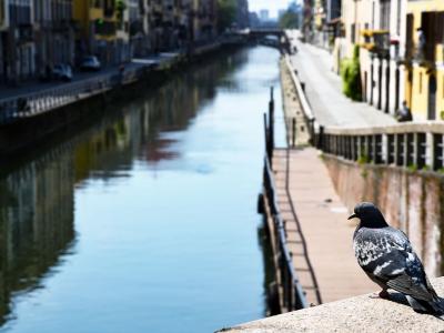 Milano Navigli Coronavirus