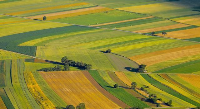 Lollobrigida e il piano agricoltura: coltivazione da un milione di ettari