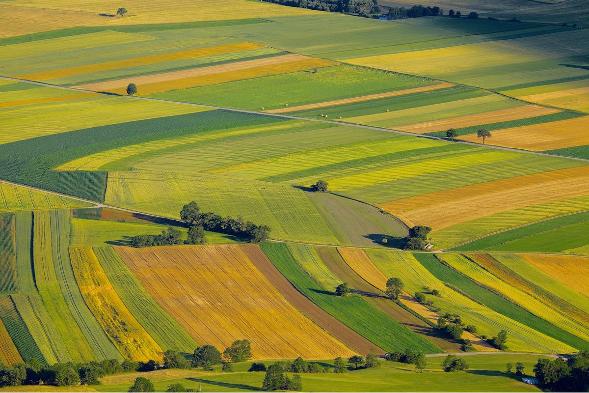 Lollobrigida e il piano agricoltura: coltivazione da un milione di ettari