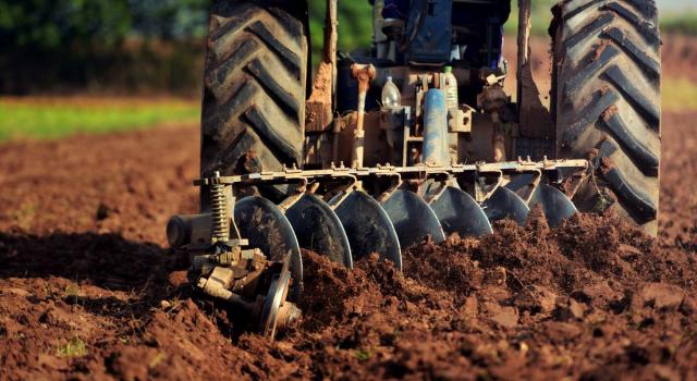 Agricoltura, il prezzo della frutta italiana raddoppia