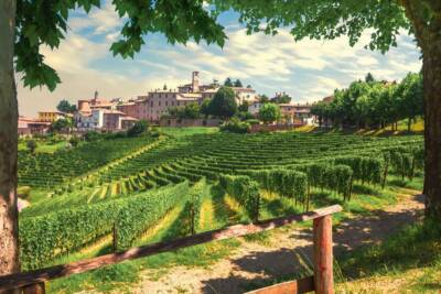 Neive, vigneti nelle Langhe in Piemonte