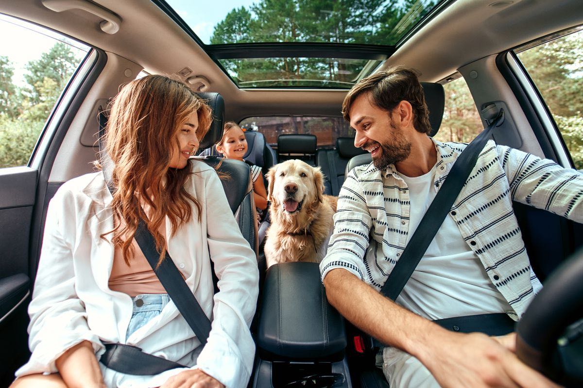 Animali in auto, viaggio con il cane