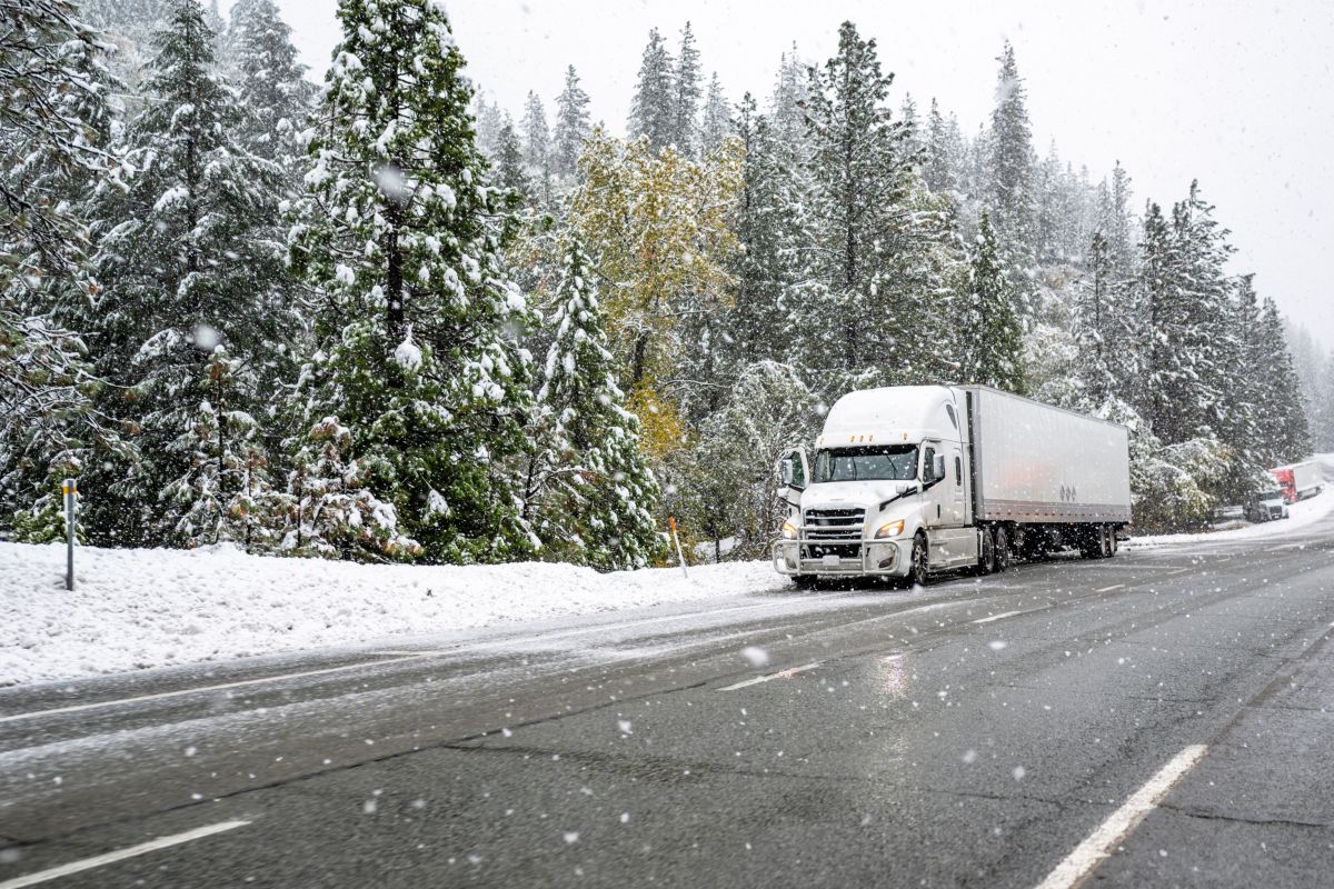 camion guida sotto la neve