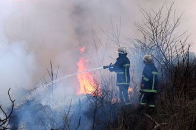 vigili del fuoco spengono incendio forestale