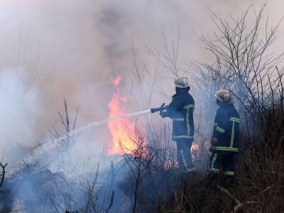 vigili del fuoco spengono incendio forestale