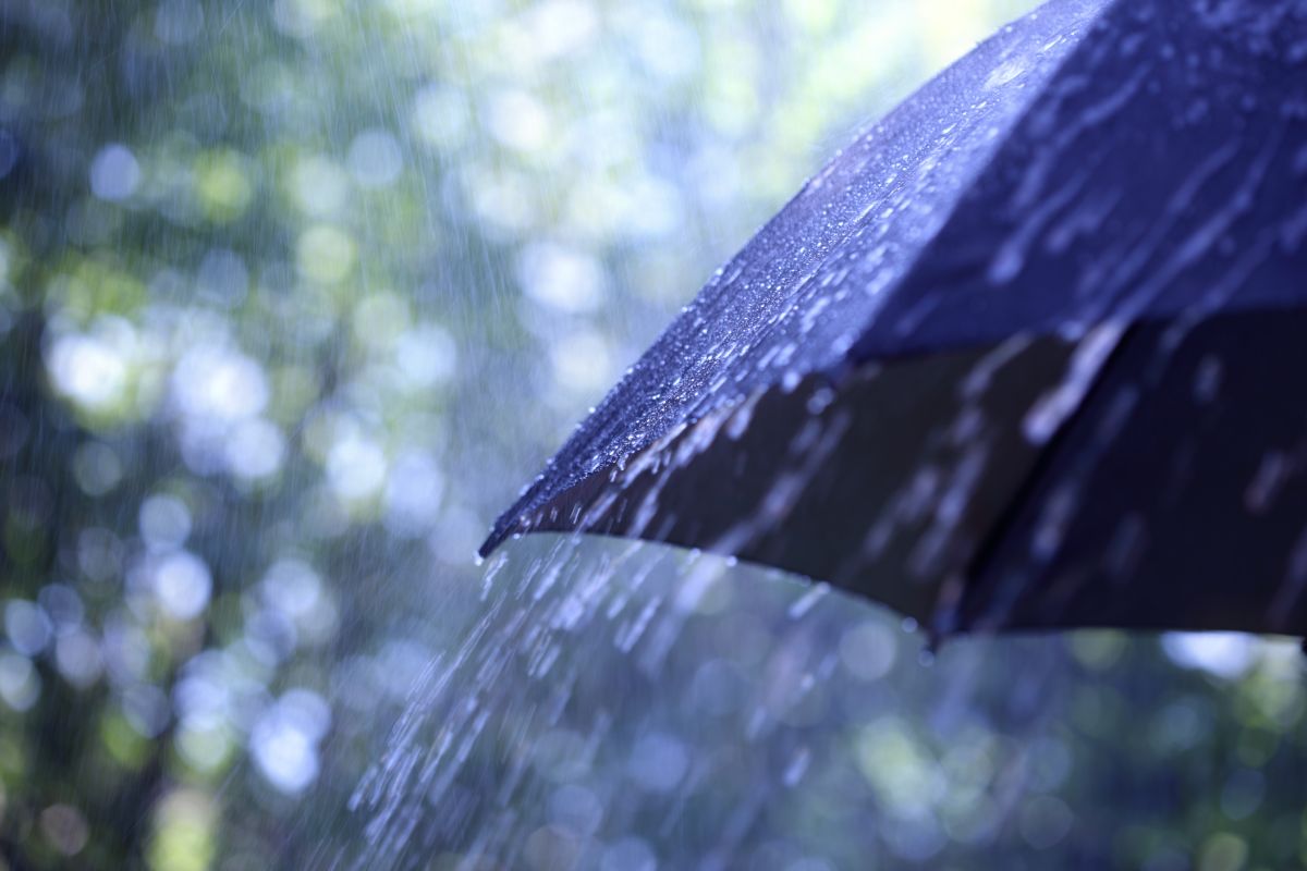 pioggia che cade su ombrello