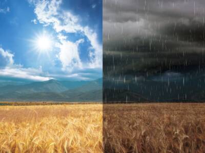 paesaggio campo di grano sole e pioggia