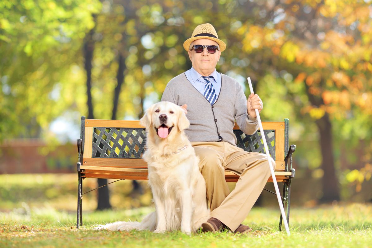 uomo anziano cieco con cane