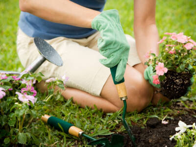 donna giardino giardinaggio piantare fiori