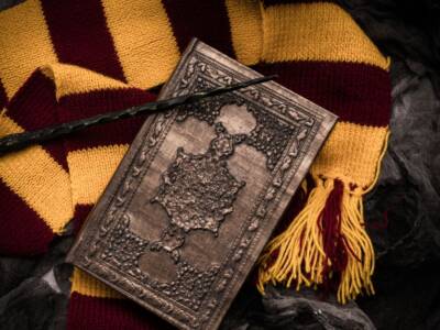 Libro e bacchetta Harry Potter