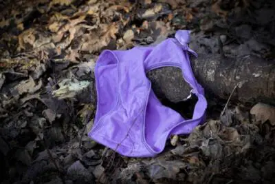 stop violenza sulle donna, intimo donna gettato fra le foglie