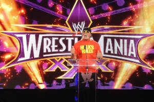 Hulk Hogan WWE