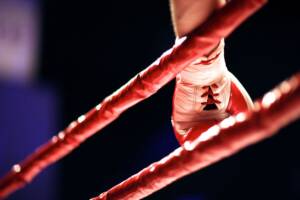 guantoni da boxe ring corde, pugile, pugilato, boxing