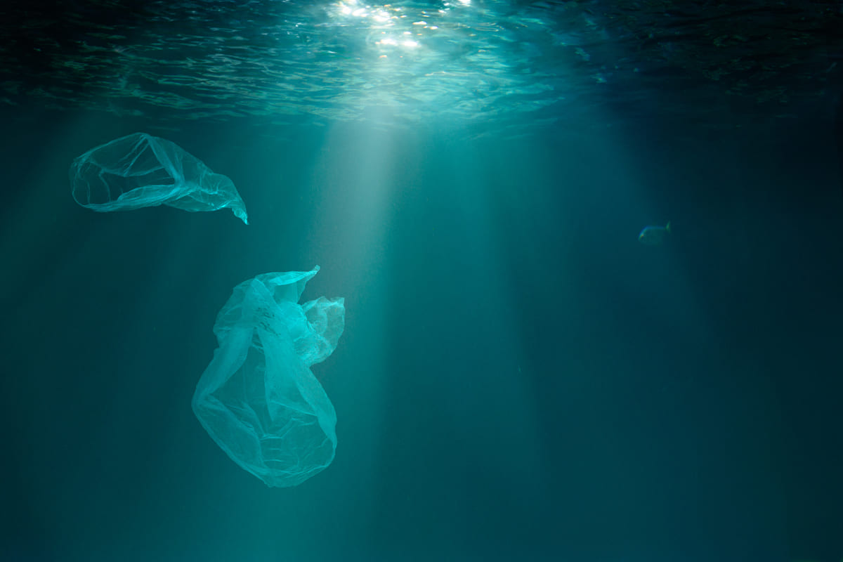 buste plastica inquinamento mare