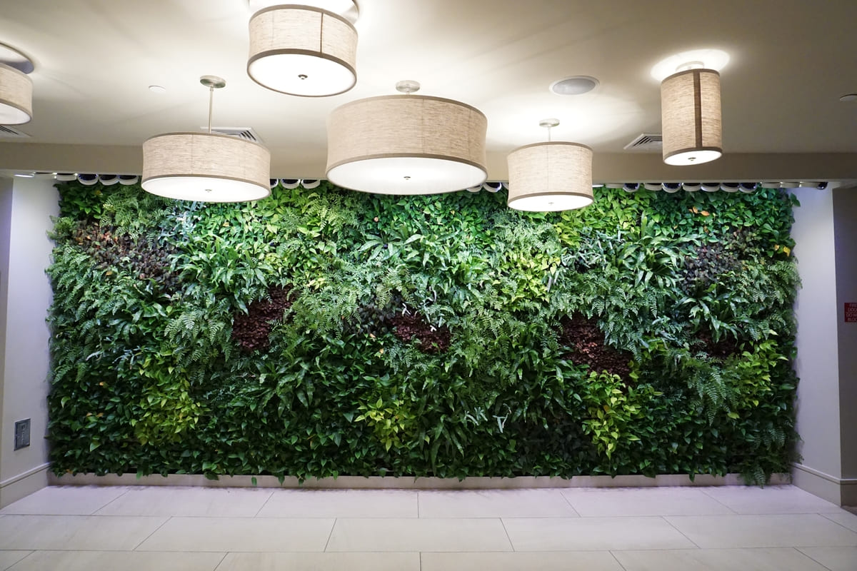 parete green piante