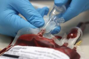 sacca di sangue per trasfusione