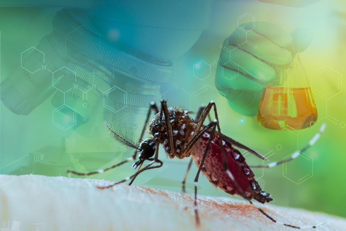 Virus Chikungunya, arriva la paura: l’UE approva il primo vaccino