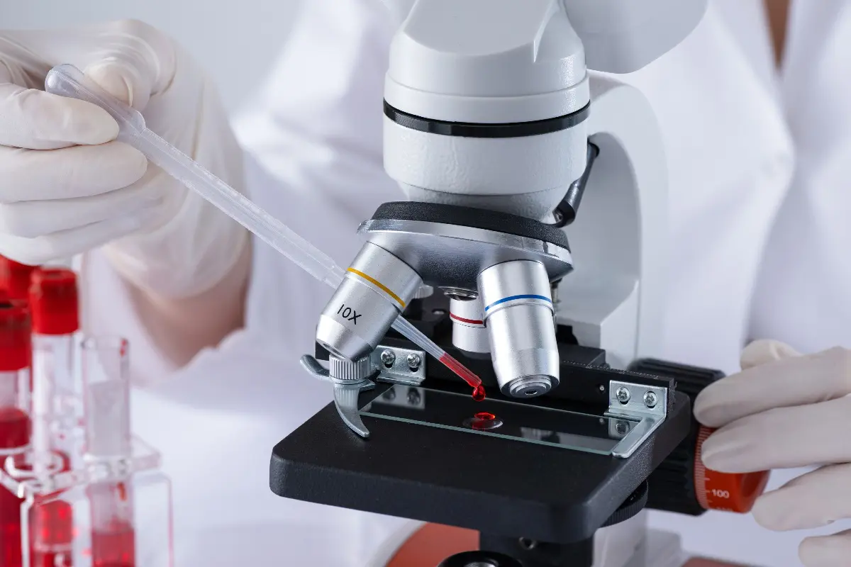 Un test al microscopio