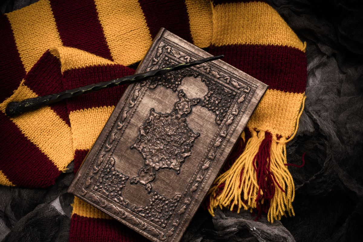 Un libro e la bacchetta di Harry Potter 