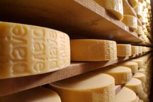 Forme intere di Piave DOP