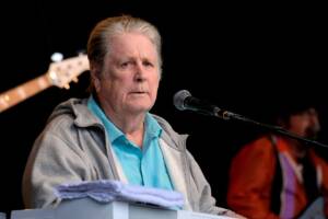 l'artista Brian Wilson