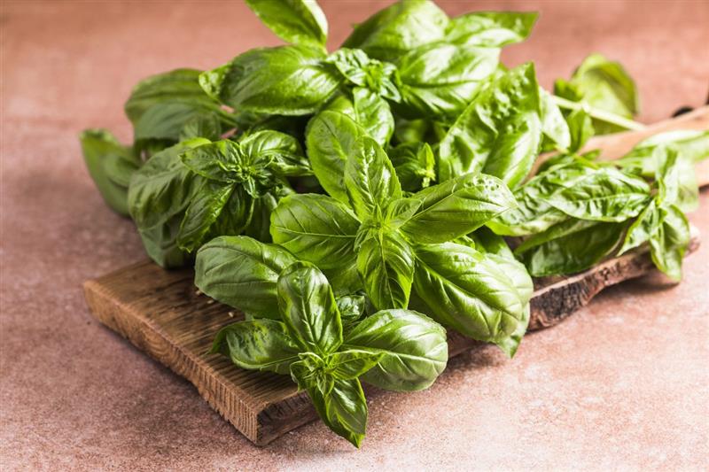 Basilico in foglie