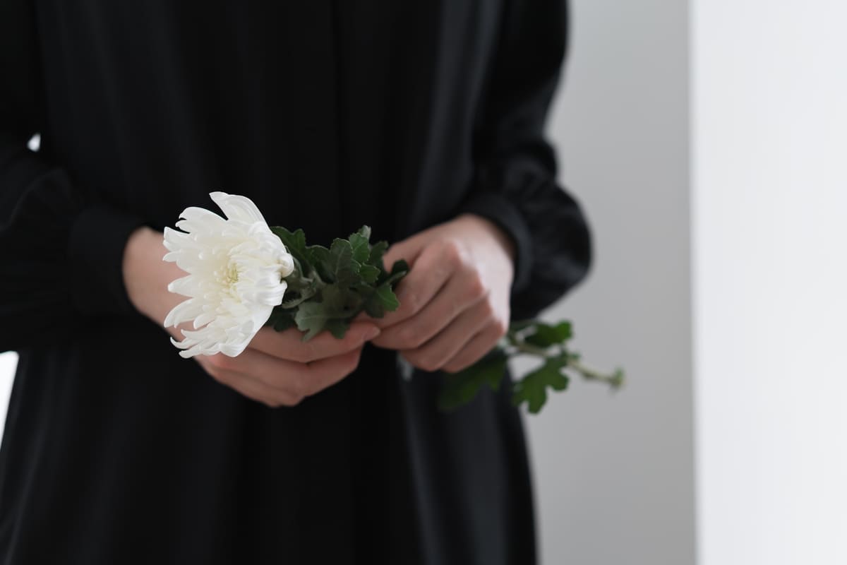 Una donna tiene in mano un crisantemo bianco.