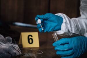 Reperti individuati durante un sopralluogo investigativo