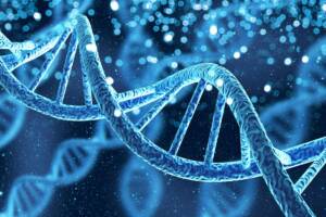 Dna molecola