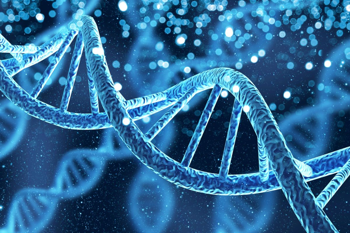 Dna molecola
