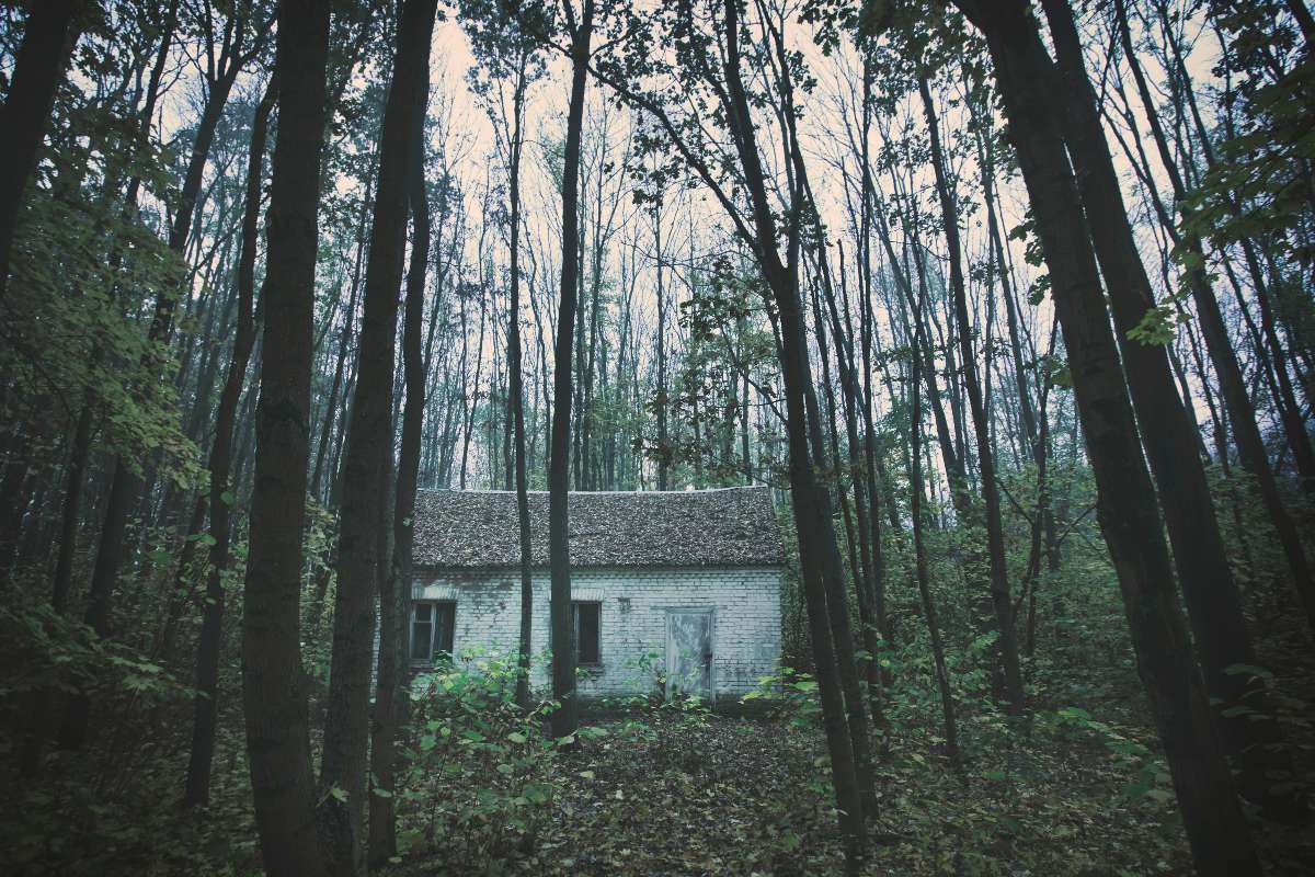 una casa nel bosco con alberi alti