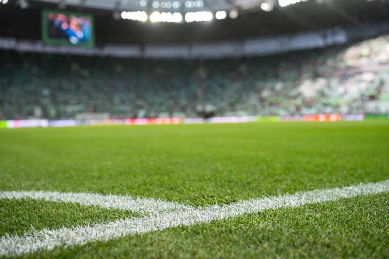 Feyenoord-Como Champions League in tv e streaming