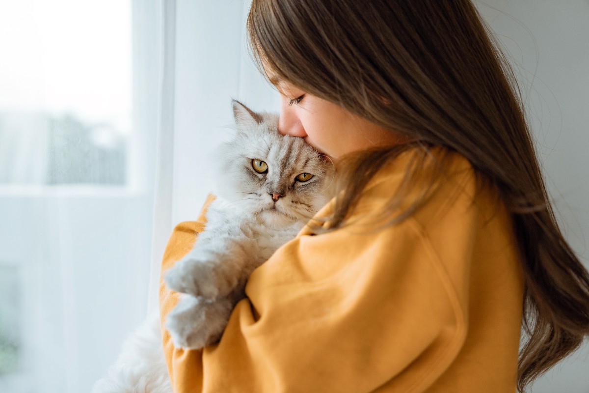 Una bambina che dà un bacio al gatto grigio che tiene in braccio.