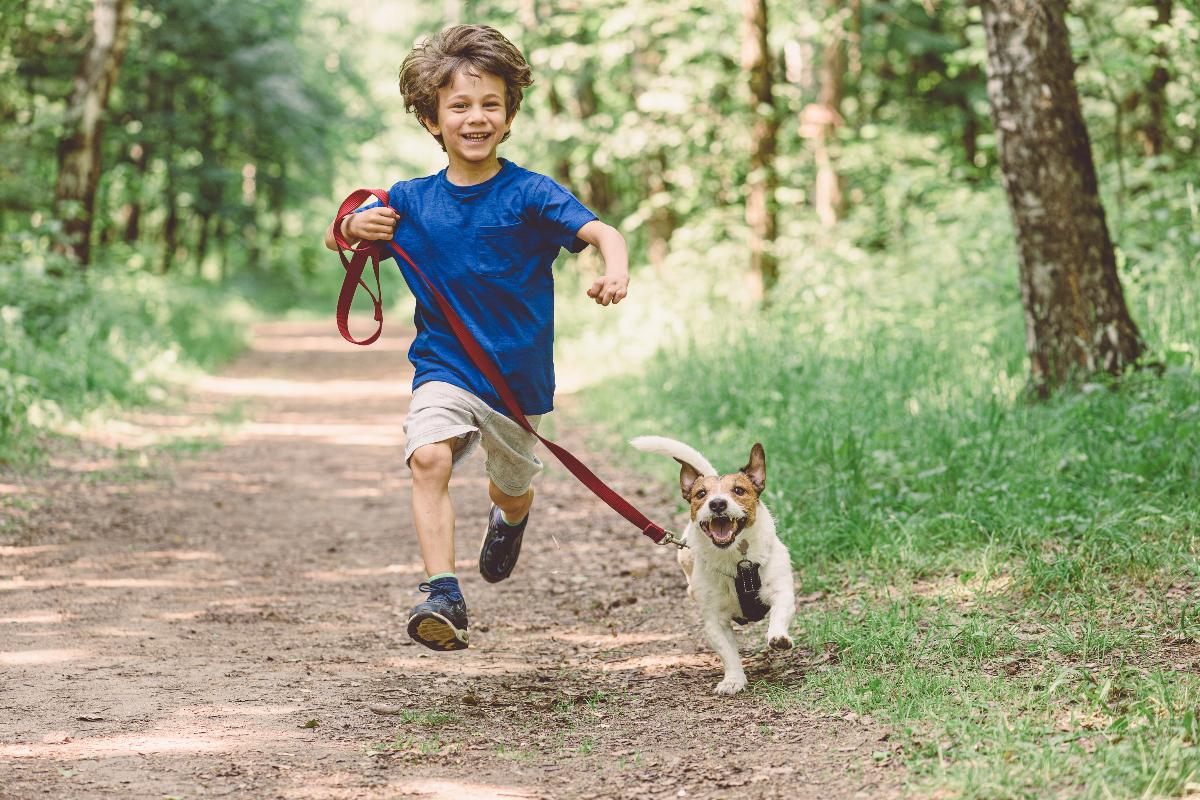 Un bambino che fa una corsa insieme al suo cagnolino tra gli alberi del bosco.
