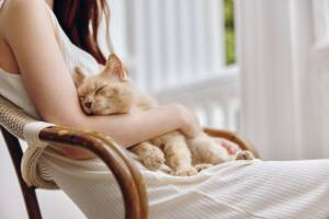 Un gattino rosso che dorme serenamente sul grembo di una ragazza.