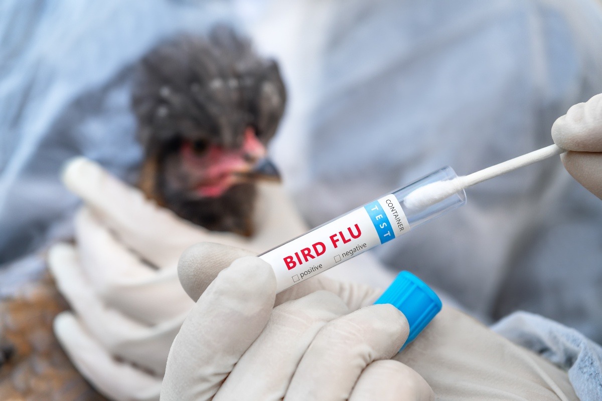 un medico fa il test per l'influenza aviaria