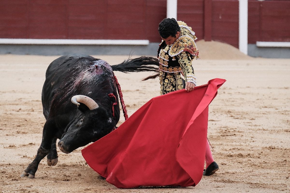 un torero durante una corrida a Madrid