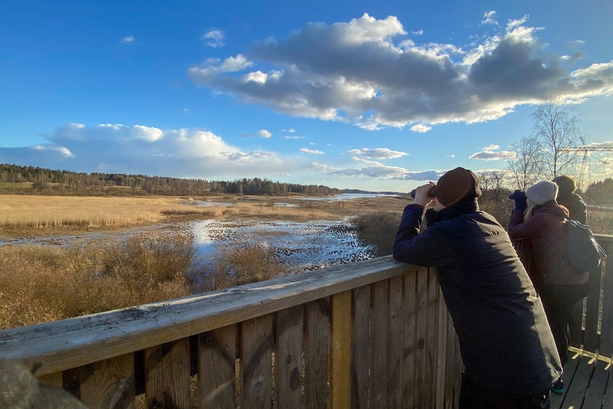 Ragazzi che fanno birdwatching.