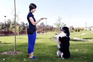 Addestramento cane con istruttrice.