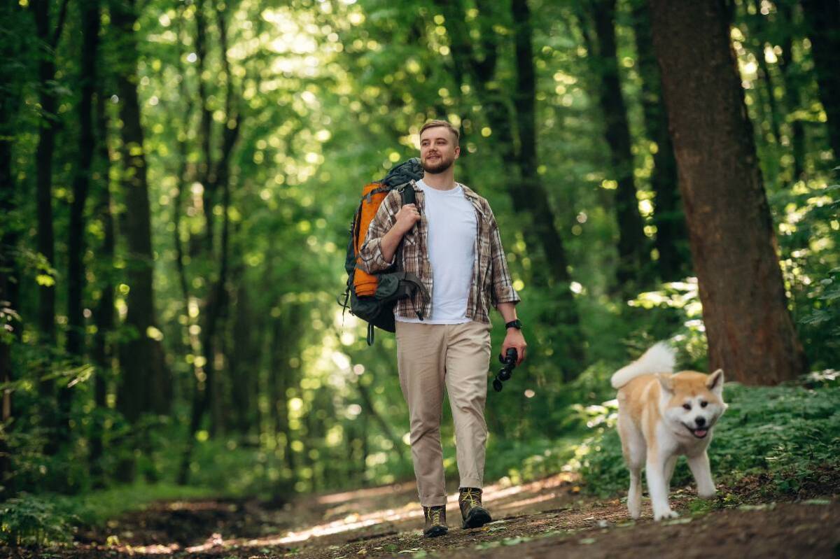 Padrone in passeggiata col proprio cane senza guinzaglio.