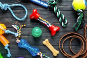 Assortimento giochi per cani.