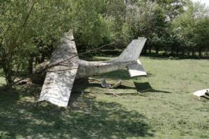 un aereo precipitato e incastrato nella vegetazione