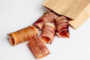 Trachea di bovino per cani.