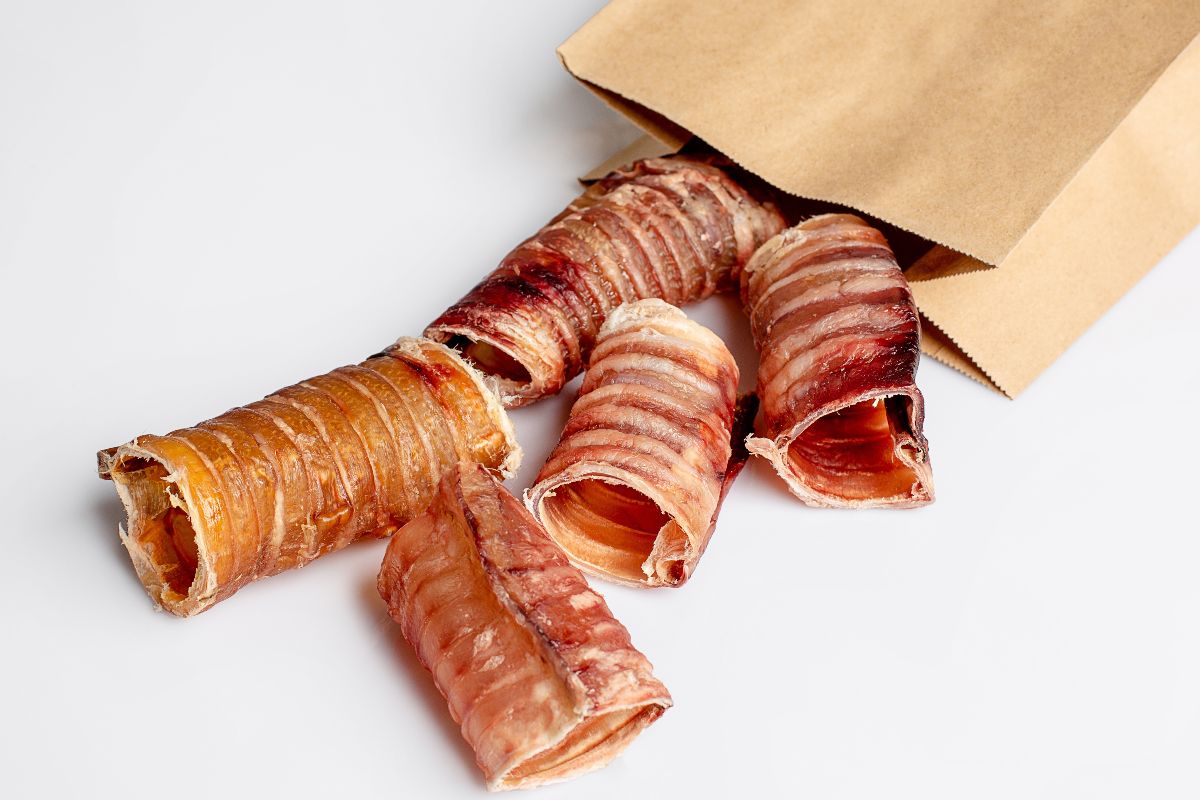 Trachea di bovino per cani.