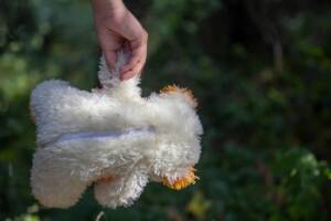 un peluche tenuto da una mano di bambina