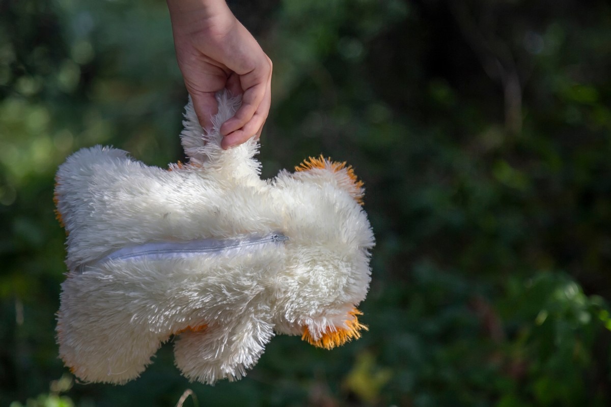 un peluche tenuto da una mano di bambina